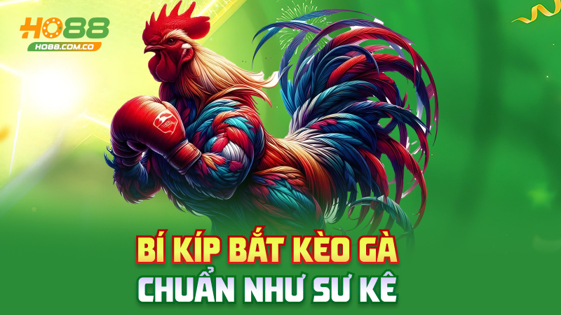 Đá gà Ho88 – Gà đá, tiền nổ, anh em reo hò