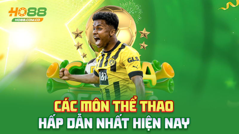 Thể thao Ho88 – Cá cược bóng đá đỉnh như bình luận viên