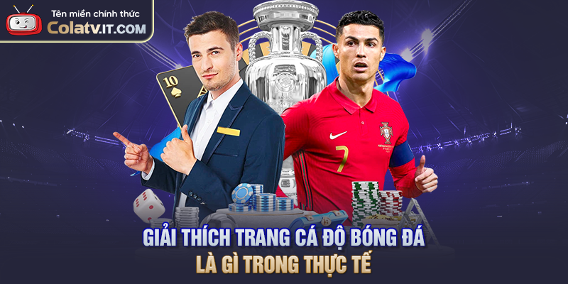 Tiêu Chí Chọn Nhà Cái Cá Cược Bóng Đá Uy Tín Cho Người Chơi Việt