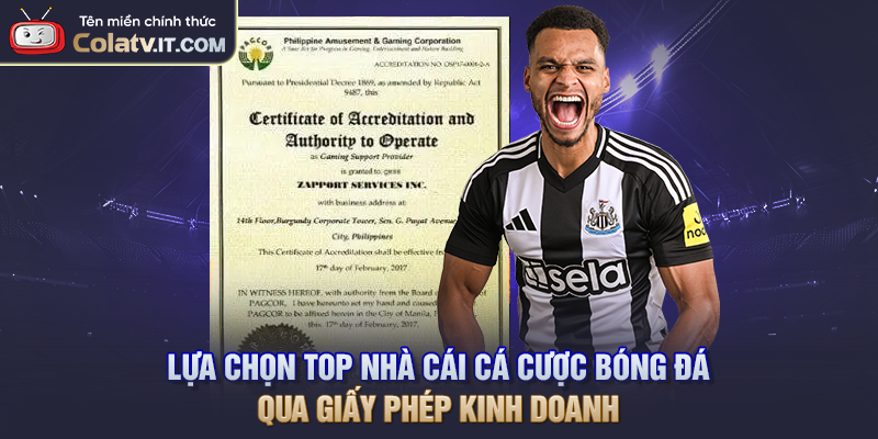 Top Nhà Cái Cá Cược Bóng Đá Đáng Tin Cậy Nhất Năm 2026