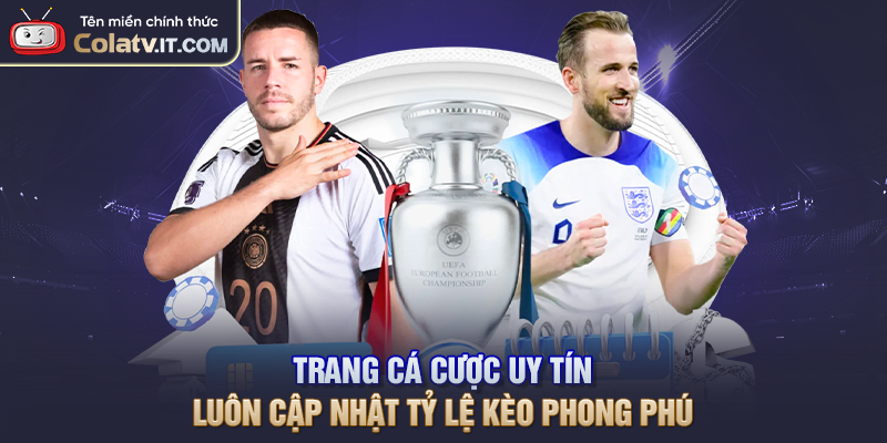 Tiêu Chí Chọn Nhà Cái Cá Cược Bóng Đá Uy Tín Cho Người Chơi Việt