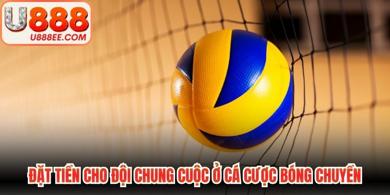 Cá Cược Bóng Chuyền - Hướng Dẫn Luật Chơi Cho Hội Viên