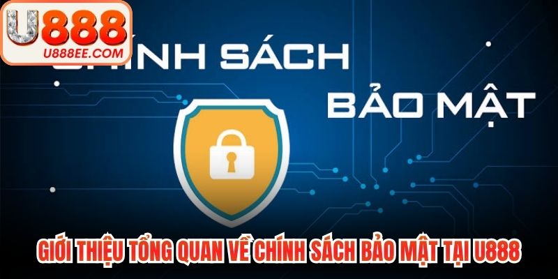 Chính Sách Bảo Mật U888 Giúp Anh Em Yên Tâm Cá Cược