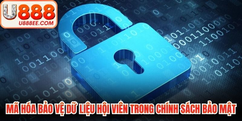 Chính Sách Bảo Mật U888 Giúp Anh Em Yên Tâm Cá Cược