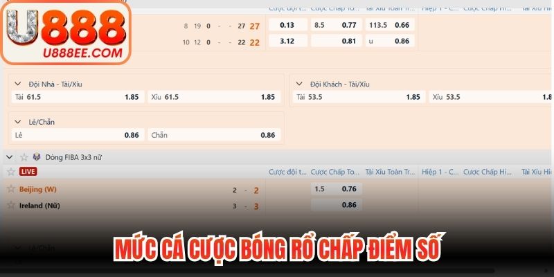 Cá Cược Bóng Rổ - Quy Luật Vào Tiền Chuẩn Nhất 2026