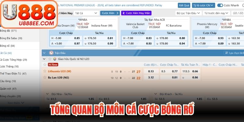 Cá Cược Bóng Rổ - Quy Luật Vào Tiền Chuẩn Nhất 2026