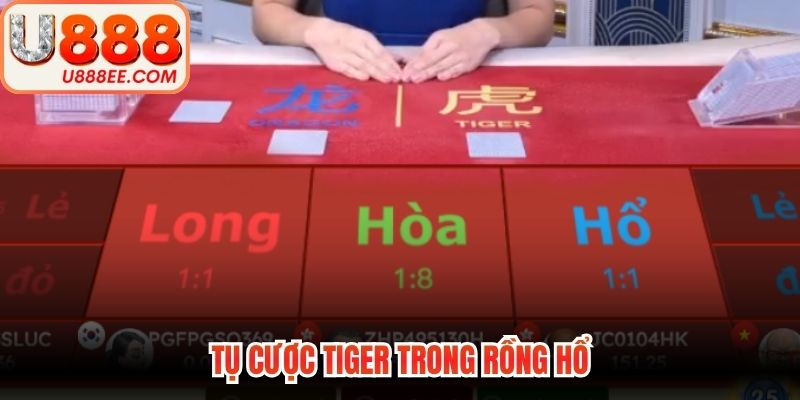 Rồng Hổ - Quy Luật Đấu Trí Săn Thưởng Bất Bại Nhất Năm